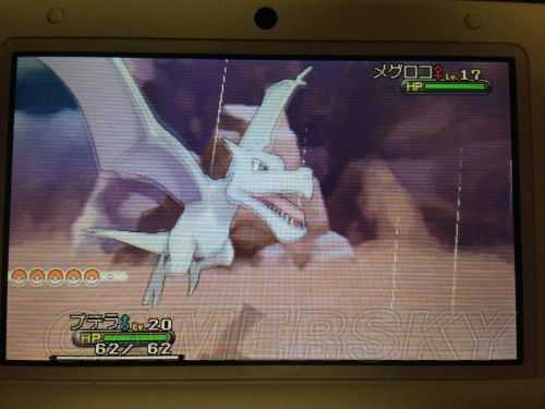 Y》拿化石翼龙化石攻略「超实用」-2