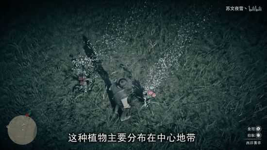 2025年《荒野大镖客2》草药大师挑战达成视频攻略 草药大师挑战怎么达成「超实用」-12